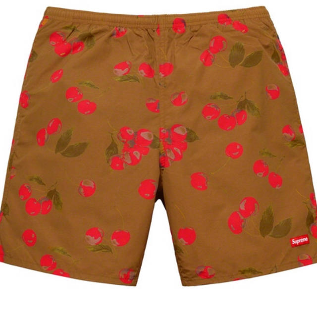 最安値 Nylon Water Short Brown Cherry sサイズ