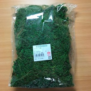 [新品] 山ゴケ  小袋 大地農園  50g(ドライフラワー)