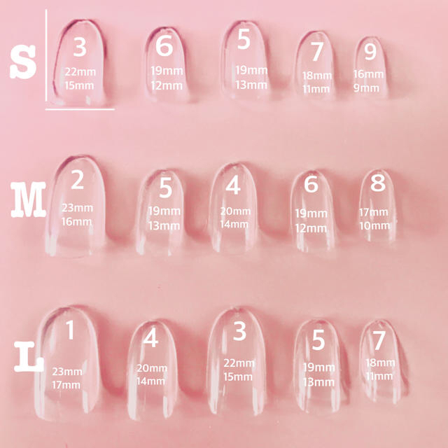 ネイルチップ シェル ネイル 夏 大人 かわいい シンプル ピンク 量産型 コスメ/美容のネイル(つけ爪/ネイルチップ)の商品写真