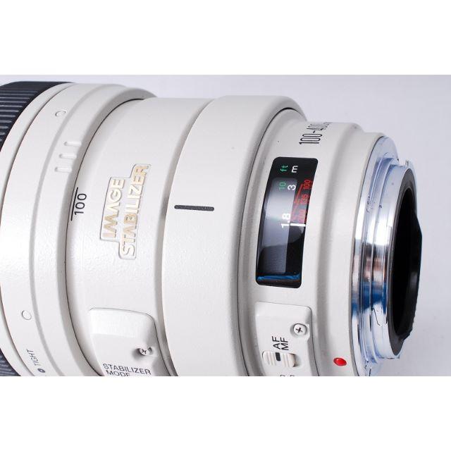 Canon EF 100-400mm F4.5-5.6 L IS USM