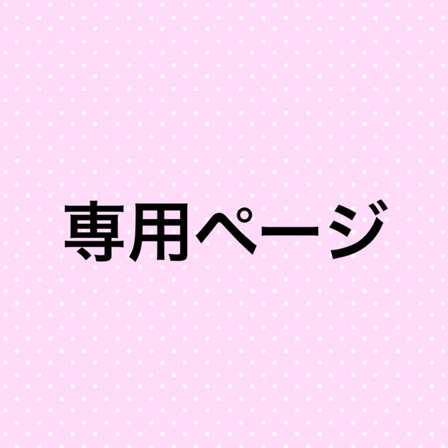 その他専用ページです。