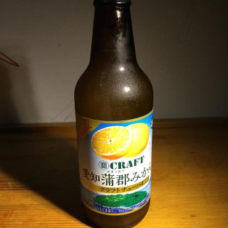 蒲郡みかんチューハイ(リキュール/果実酒)