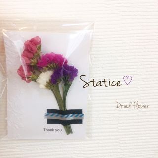 ミニ花束 ミニスワッグ スターチス ドライフラワー (ドライフラワー)