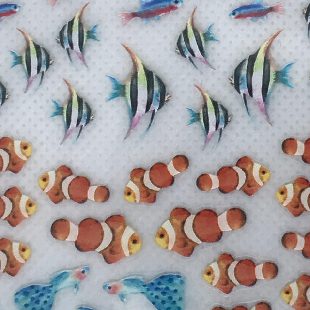 ハーバリウム  デザインシール 熱帯魚 ＋ 透明シート２枚 ハンドメイドの素材/材料(各種パーツ)の商品写真