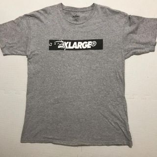 エクストララージ(XLARGE)の【処分特価】XLARGE Tシャツ Lサイズ(Tシャツ/カットソー(半袖/袖なし))