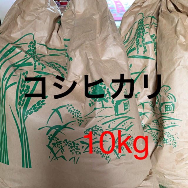 こしひかり　三重県産　米/穀物　10kg　30年度米