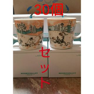 アラビア(ARABIA)の30個セット MOOMIN VALLEY PARK / ARABIA マグ 送込(食器)