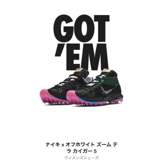 NIKE(ナイキ)の【最安値！】ナイキ ズーム テラ カイガー 5 オフホワイト メンズの靴/シューズ(スニーカー)の商品写真