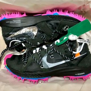 ナイキ(NIKE)の【最安値！】ナイキ ズーム テラ カイガー 5 オフホワイト(スニーカー)