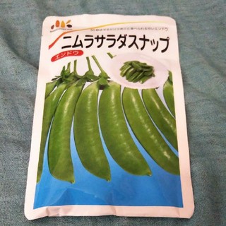 正規品　ニムラサラダスナップ　種　30粒(野菜)