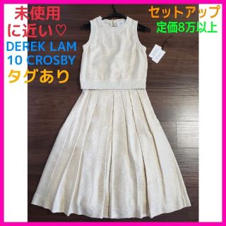 デレクラム(DEREK LAM)のサーニャンコ様専用♡デレクラム10クロスビー トップス スカート セット (ひざ丈スカート)