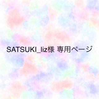 チュチュアンナ(tutuanna)のSATSUKI_liz様 専用ページ 匿名発送(ブラ)