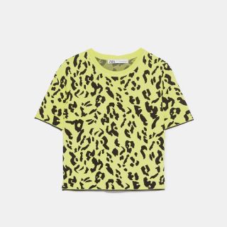 ザラ(ZARA)のZARA ザラ ニット ヒョウ柄 ネオンカラー(カットソー(半袖/袖なし))