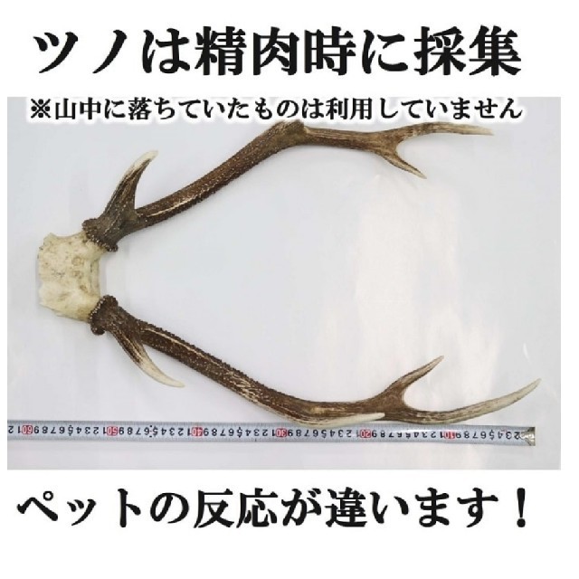 テレビで紹介された 犬のおもちゃ 鹿の角 わんちゃんおやつ ストレス解消 ツノの通販 By あなたの願いをサポートするご祈願済みパワー入り秘伝オイルとメモリーオイルブレンド ラクマ テレビで紹介された 犬のおもちゃ 鹿の角 わんちゃんおやつ ストレス解消 ツノの通販 By あなたの願いをサポートするご祈願済みパワー入り秘伝オイルとメモリーオイルブレンド ラクマ