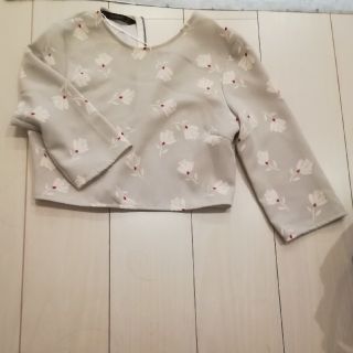 ザラ(ZARA)のカットソー　美品　七歩丈　クロップド丈　ショート丈(カットソー(長袖/七分))