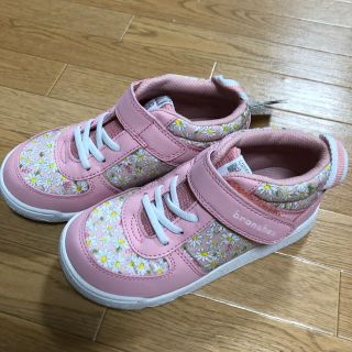 ブランシェス(Branshes)のブランシェス スニーカー  イフミー    19 新品(スニーカー)