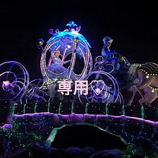 ディズニー(Disney)のぶーちゃん様☺︎♡専用★大ぶりドナルドピアス1ペア分☆(ピアス)