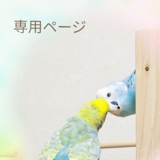 AJIクルス様専用ページ。(鳥)