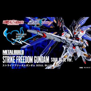 バンダイ(BANDAI)のMETAL BUILD ストライクフリーダムガンダム SOUL BLUE Ver(アニメ/ゲーム)