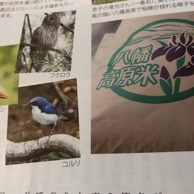 平成30年 広島県産 あきたこまち 25kg 白米 検査1等米 食品 平成30年 広島県産 あきたこまち 25kg 白米 検査1等米 食品