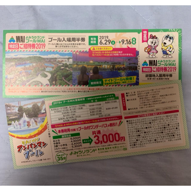 よみうりランドプールWAI 特定日招待券 チケットの施設利用券(プール)の商品写真