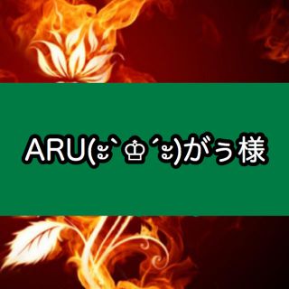 ARU様専用✩⋆*॰¨̮⋆｡˚(その他)