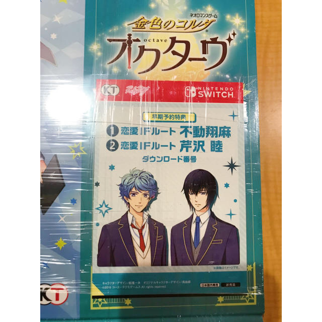 Koei Tecmo Games(コーエーテクモゲームス)の金色のコルダ オクターヴ 情熱のバケーション BOX エンタメ/ホビーのゲームソフト/ゲーム機本体(家庭用ゲームソフト)の商品写真