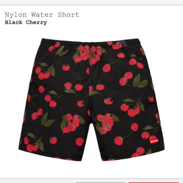 Supreme(シュプリーム)のsupreme  Nylon Water Short Cherry L メンズの水着/浴衣(水着)の商品写真