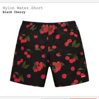 シュプリーム(Supreme)のsupreme  Nylon Water Short Cherry L(水着)