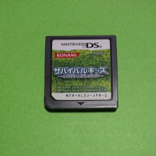 ニンテンドーDS(ニンテンドーDS)のサバイバルキッズ ロストインブルー2(携帯用ゲームソフト)