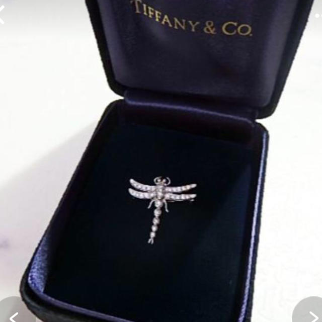 Tiffany & Co.(ティファニー)のティファニー TIFFANY ドラゴンフライ ダイヤ プラチナ 大幅お値下げ‼️ レディースのアクセサリー(ネックレス)の商品写真