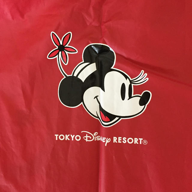 Disney(ディズニー)のディズニー レインコート ポンチョ レディースのジャケット/アウター(ポンチョ)の商品写真