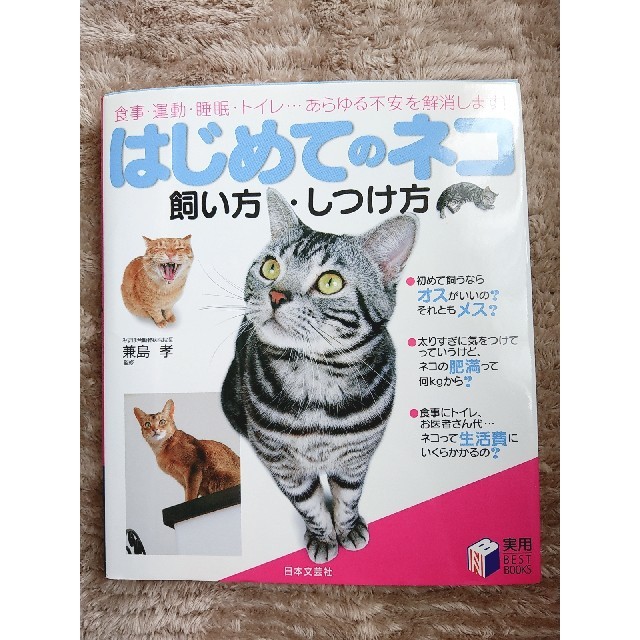 はじめてのネコ 飼い方 しつけ方の通販 By Love Cat S Shop ラクマ