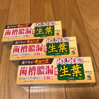 コバヤシセイヤク(小林製薬)の生葉 ひきしめ実感タイプ 3個セット(歯磨き粉)