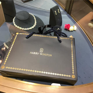 ハリーウィンストン(HARRY WINSTON)の💗ハリーウィンストン💗 ティースプーン 非売品(カトラリー/箸)