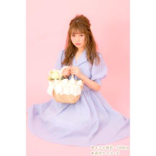 チェリーアン(cherry Ann)のラズミル ストライプ半袖ワンピース(ひざ丈ワンピース)