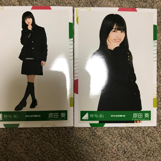 欅坂46(けやき坂46)(ケヤキザカフォーティーシックス)の原田葵 生写真 エンタメ/ホビーのタレントグッズ(アイドルグッズ)の商品写真