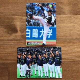 トウキョウヤクルトスワローズ(東京ヤクルトスワローズ)の人気！★プロ野球チップスカード2016〜19 ヤクルト(スポーツ選手)