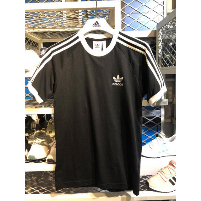 adidas(アディダス)のAdidasアディダスオリジナルス 男女兼用Tシャツ Mサイズ メンズのトップス(Tシャツ/カットソー(半袖/袖なし))の商品写真