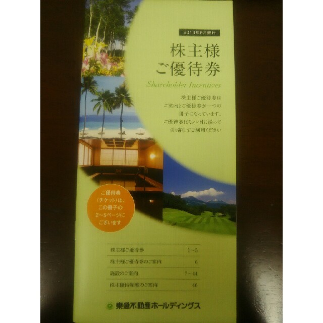 東急不動産ホールディングス 株主優待券 チケットの優待券/割引券(その他)の商品写真