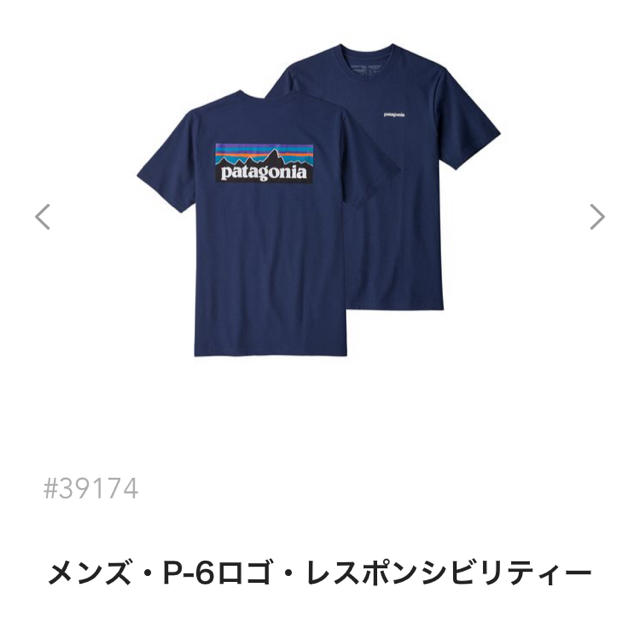 本日発送！新品 Patagonia Tシャツ S