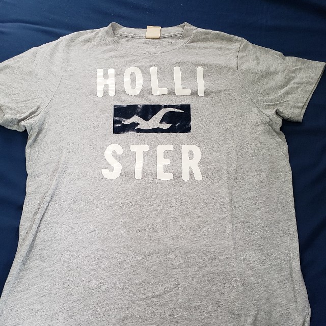 Hollister(ホリスター)のホリスター　Hollister　Tシャツ メンズのトップス(Tシャツ/カットソー(半袖/袖なし))の商品写真