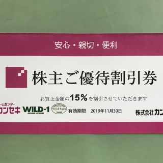 スノーピーク(Snow Peak)のカンセキ WILD-1  15%優待券(ショッピング)