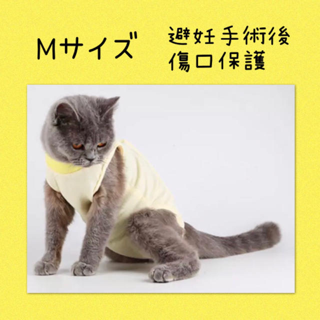 大人気 犬 猫 ペット手術後 避妊 去勢 エリザベスカラー 黄色 イエロー その他のペット用品(猫)の商品写真