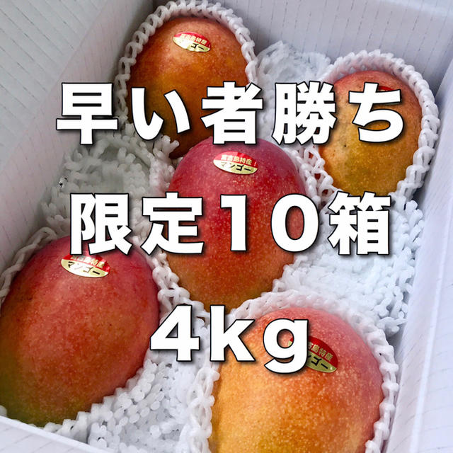 食品【10箱限定】宮古島産完熟マンゴー4kg(9〜12個)