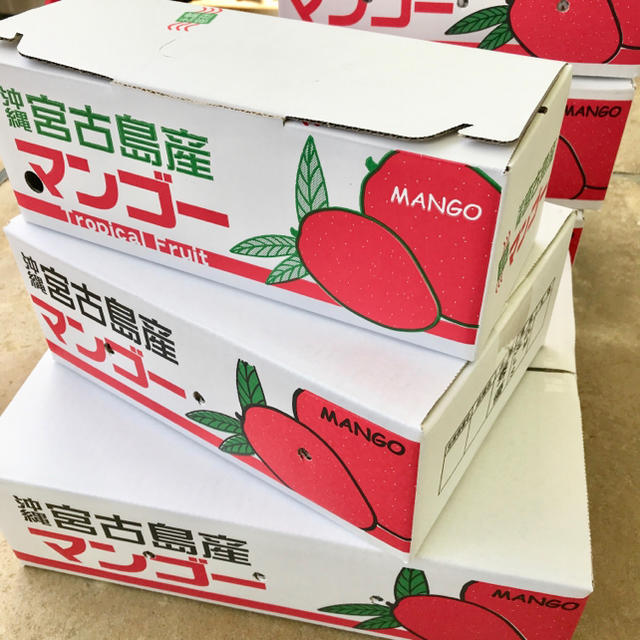 【10箱限定】宮古島産完熟マンゴー4kg(9〜12個) 食品/飲料/酒の食品(フルーツ)の商品写真