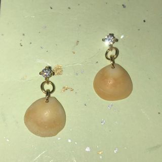 貝殻のピアス(ピアス)