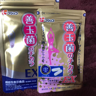 フジッコ 善玉菌のチカラEX(その他)