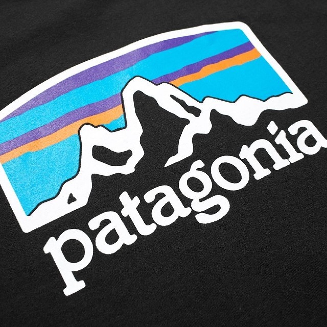 PATAGONIA FITZ ROY HORIZONS RESPONSIBILI