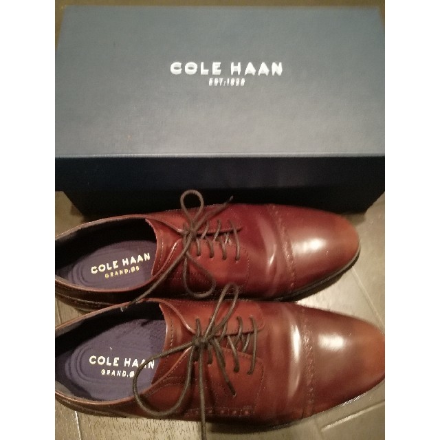 Cole Haan(コールハーン)の革靴 COLE HAAN メンズの靴/シューズ(ドレス/ビジネス)の商品写真